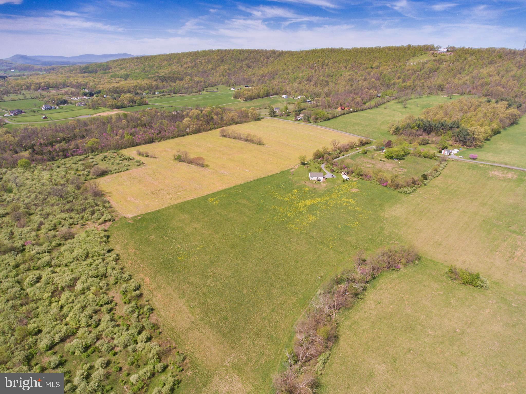Singhass Road, Unit 50 67 Winchester, VA 22602 - Photo 1 of 22 2 parcels, 38.5 & 13+-, totaling 51.5 acres!