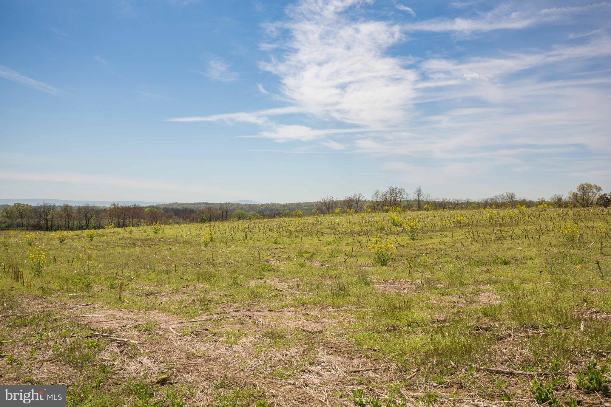 Singhass Road, Unit 50 67 Winchester, VA 22602 - Photo 16 of 22 View from the ground.