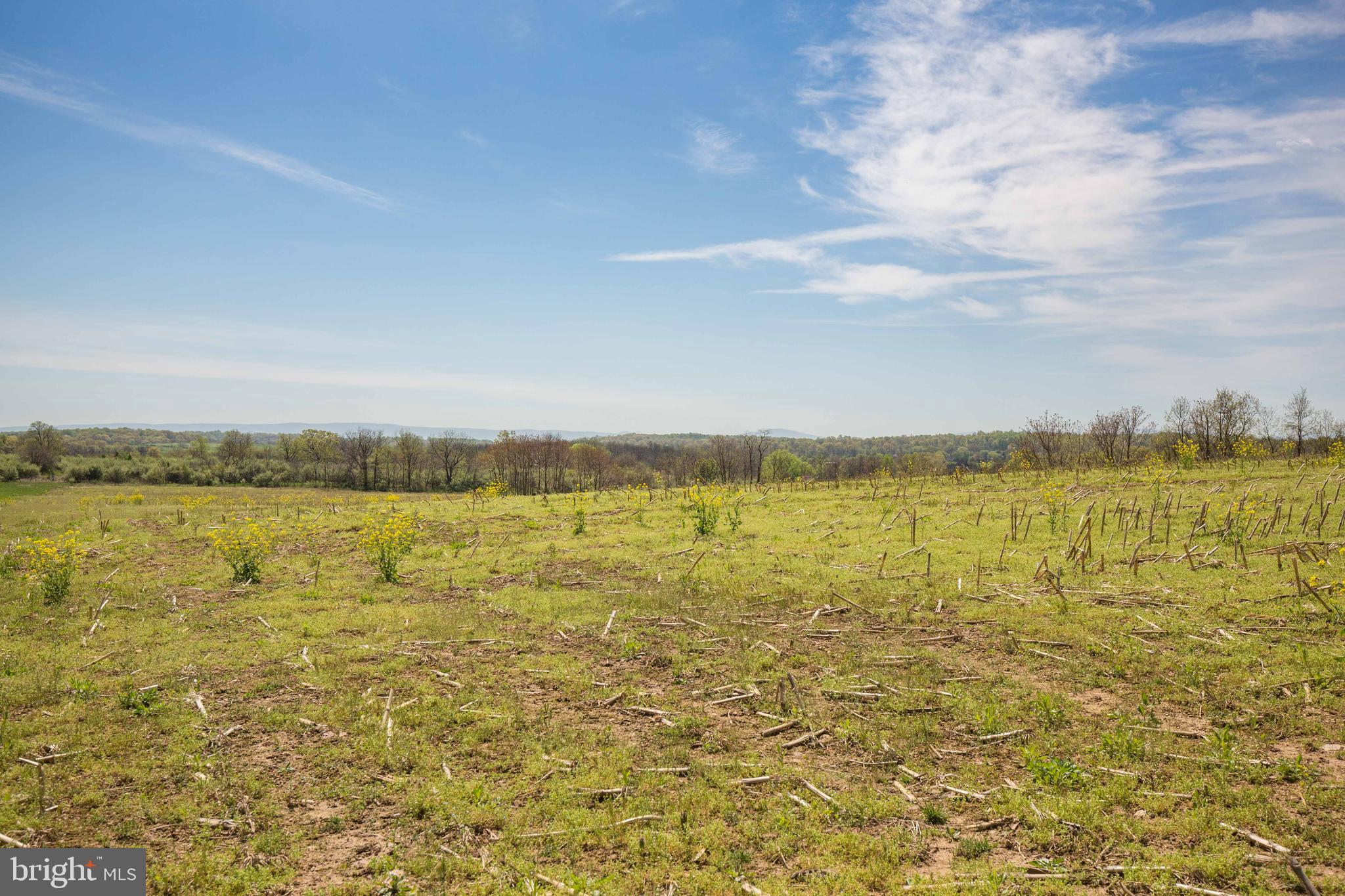 Singhass Road, Unit 50 67 Winchester, VA 22602 - Photo 17 of 22 View from the ground.
