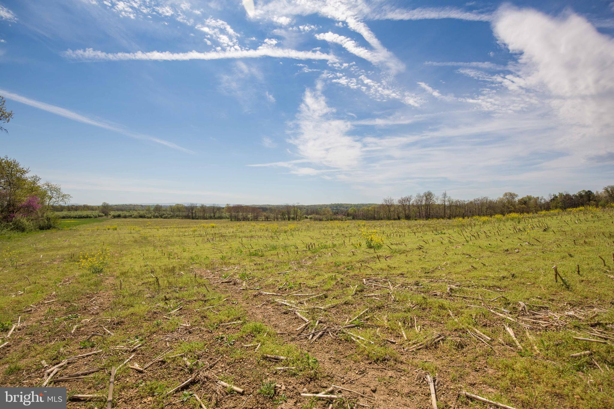 Singhass Road, Unit 50 67 Winchester, VA 22602 - Photo 18 of 22 View from the ground.