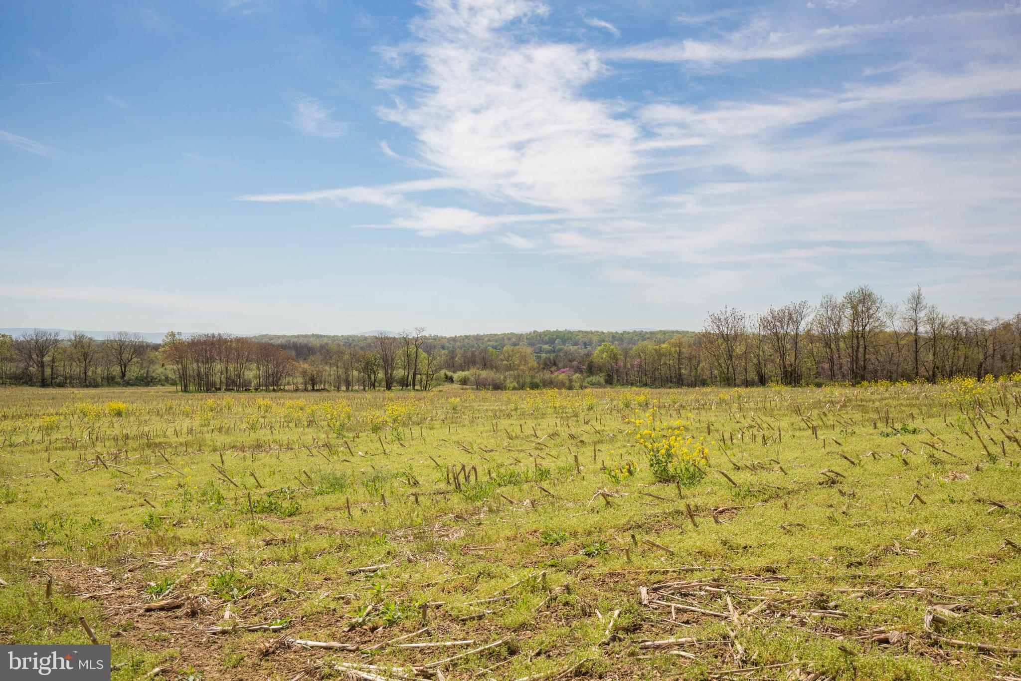 Singhass Road, Unit 50 67 Winchester, VA 22602 - Photo 19 of 22 View from the ground.
