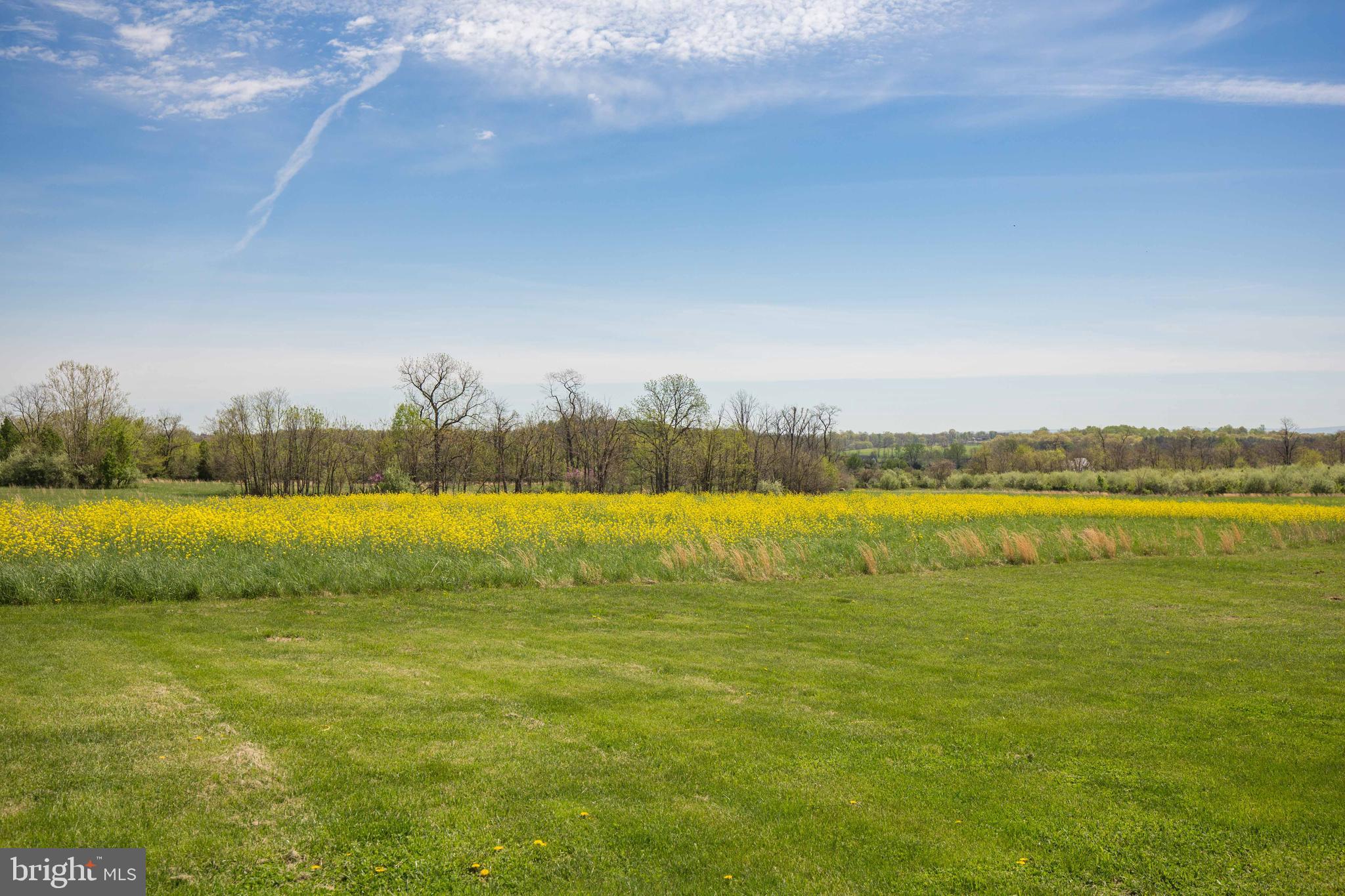 Singhass Road, Unit 50 67 Winchester, VA 22602 - Photo 20 of 22 View from the ground.