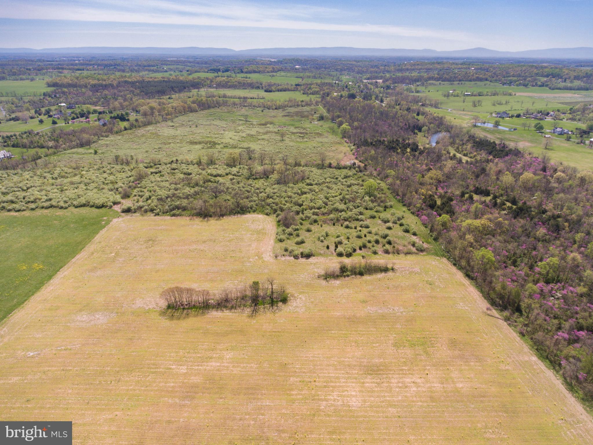 Singhass Road, Unit 50 67 Winchester, VA 22602 - Photo 7 of 22 Gallery Image 7