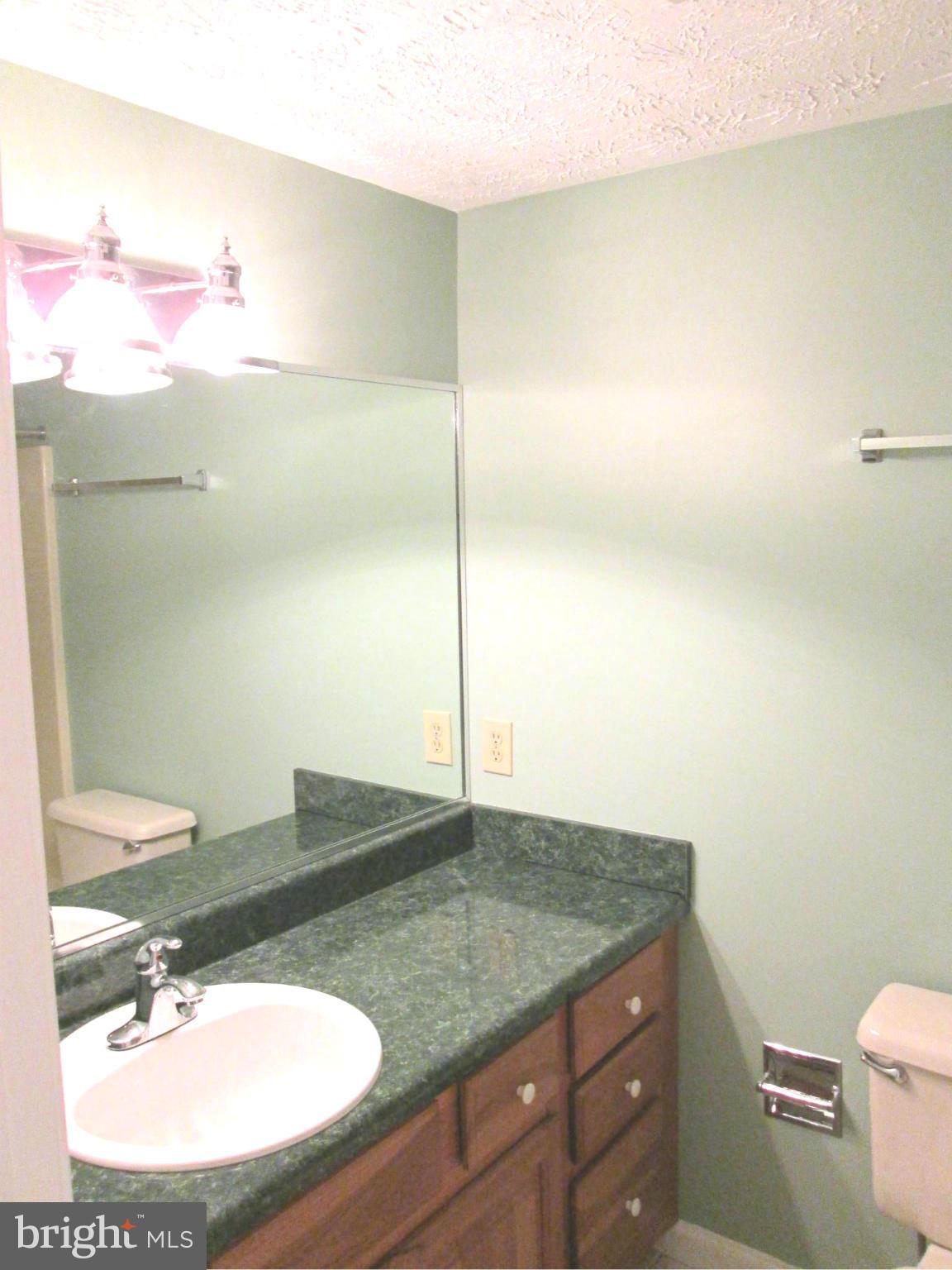 304 Canyon Road Winchester, VA 22602 - Photo 12 of 22 Bath