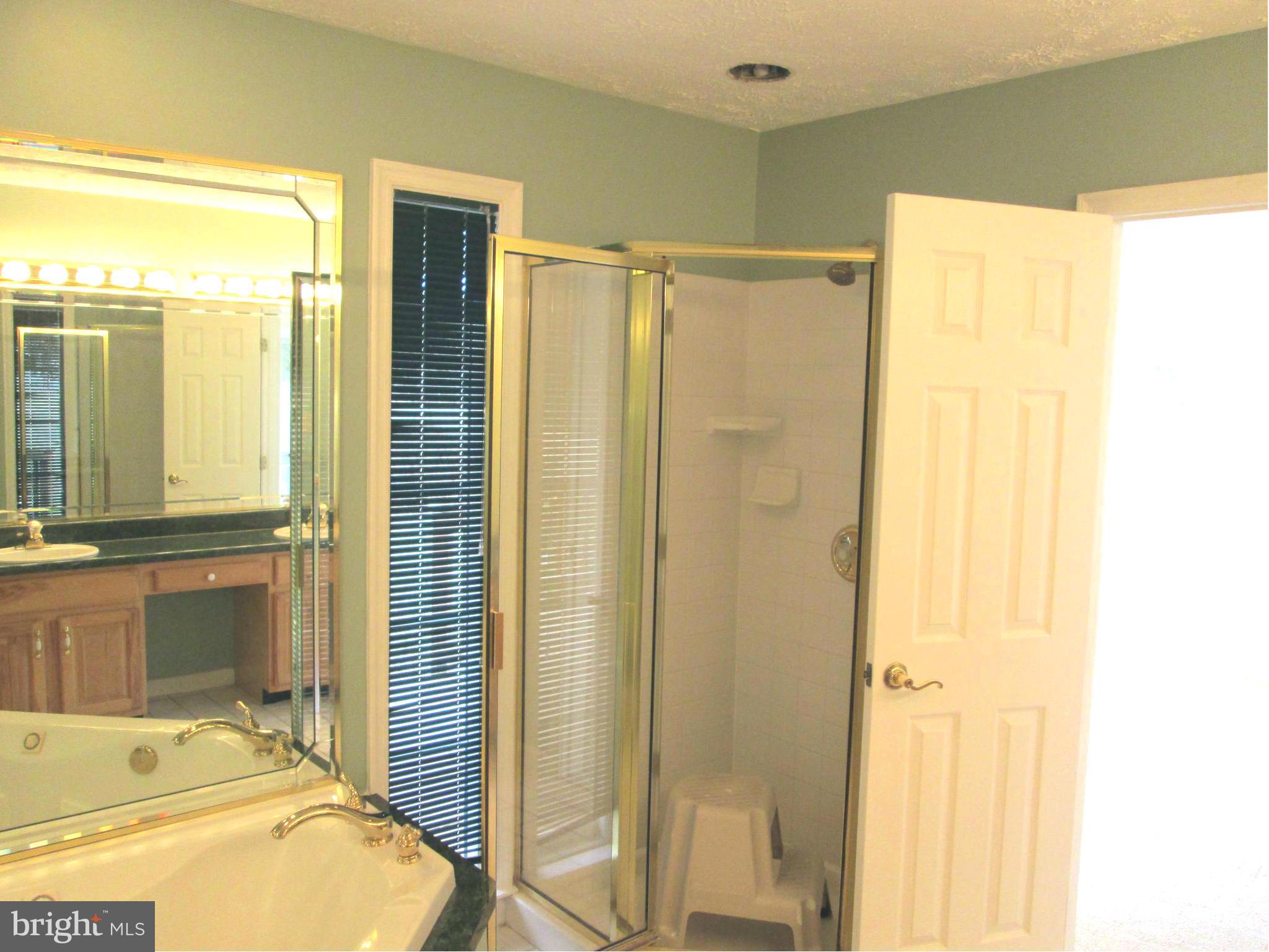 304 Canyon Road Winchester, VA 22602 - Photo 18 of 22 Bath (Master)