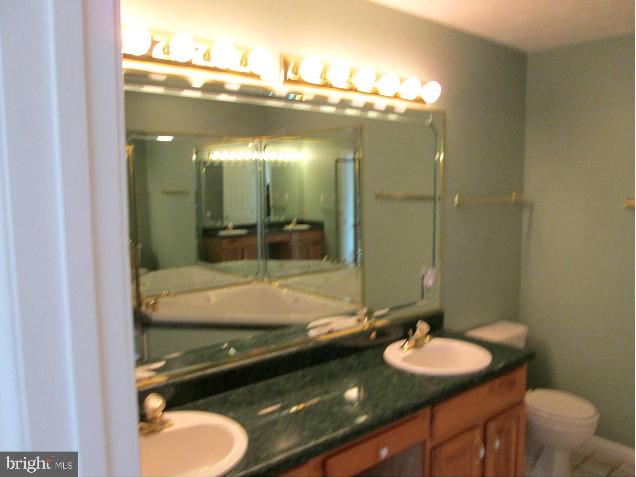 304 Canyon Road Winchester, VA 22602 - Photo 19 of 22 Bath (Master)