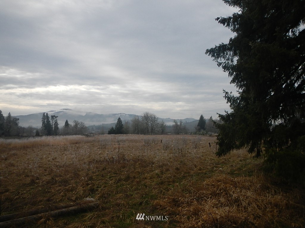 222 Kahout Road Curtis, WA 98538 - Photo 1 of 3