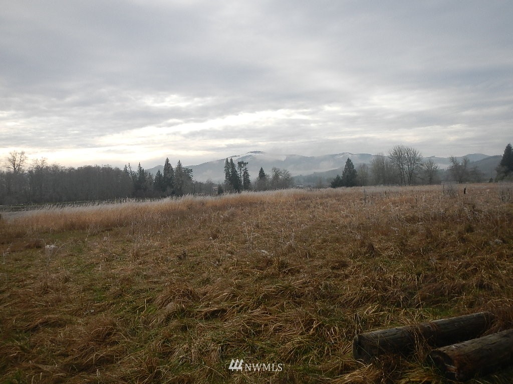 222 Kahout Road Curtis, WA 98538 - Photo 2 of 3