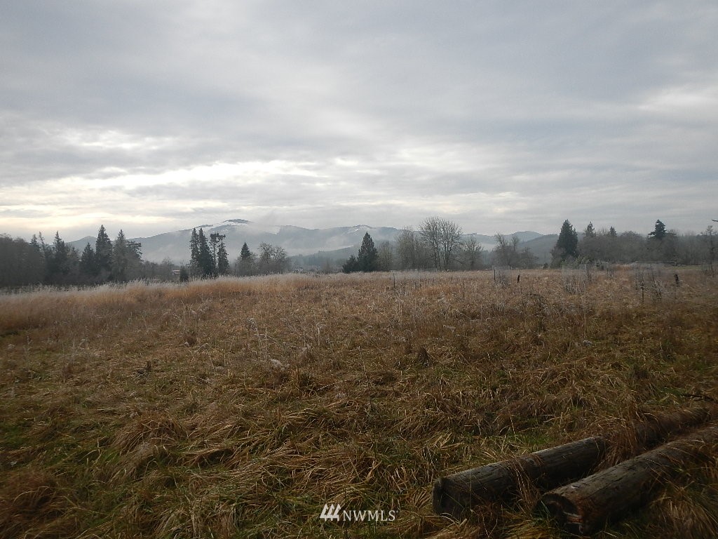 222 Kahout Road Curtis, WA 98538 - Photo 3 of 3