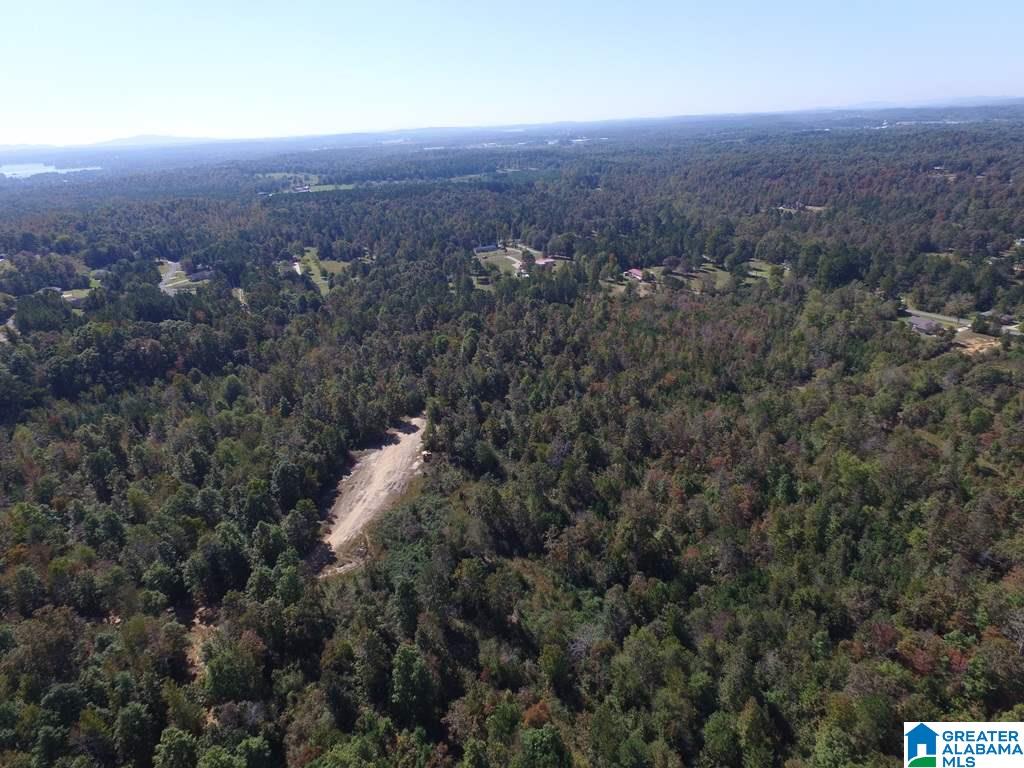 Sprayberry Road, Unit 103 Cropwell, AL 35054 - Photo 7 of 48