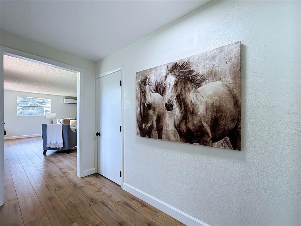 11008 Browning Road Lithia, FL 33547 - Photo 15 of 88