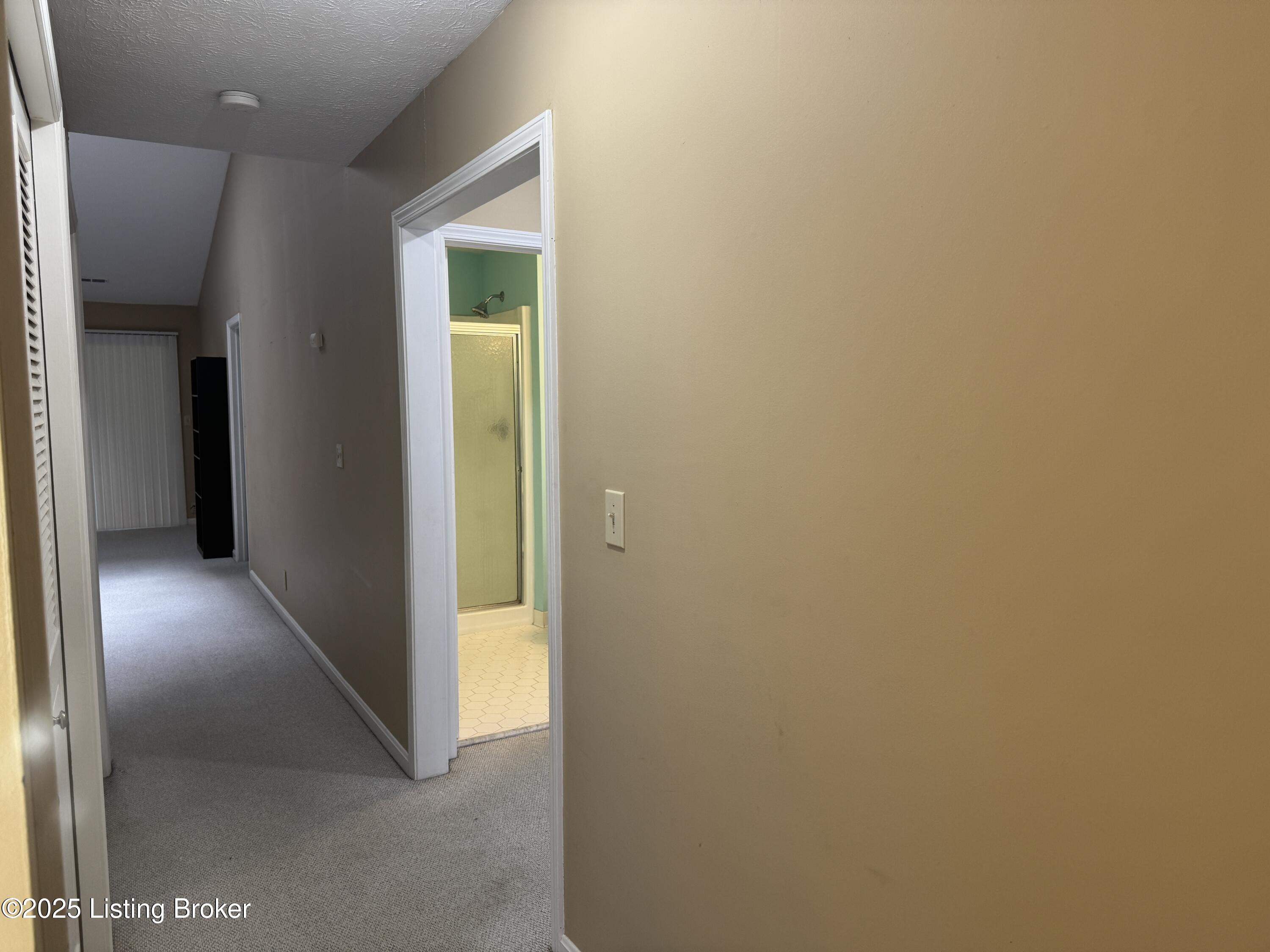487 Piping Rock Road Brandenburg, KY 40108 - Photo 13 of 34 10