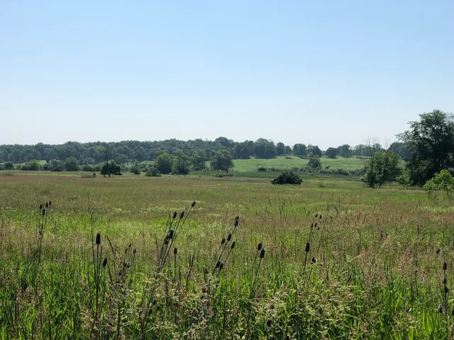 a view of a lush green field near a lake view