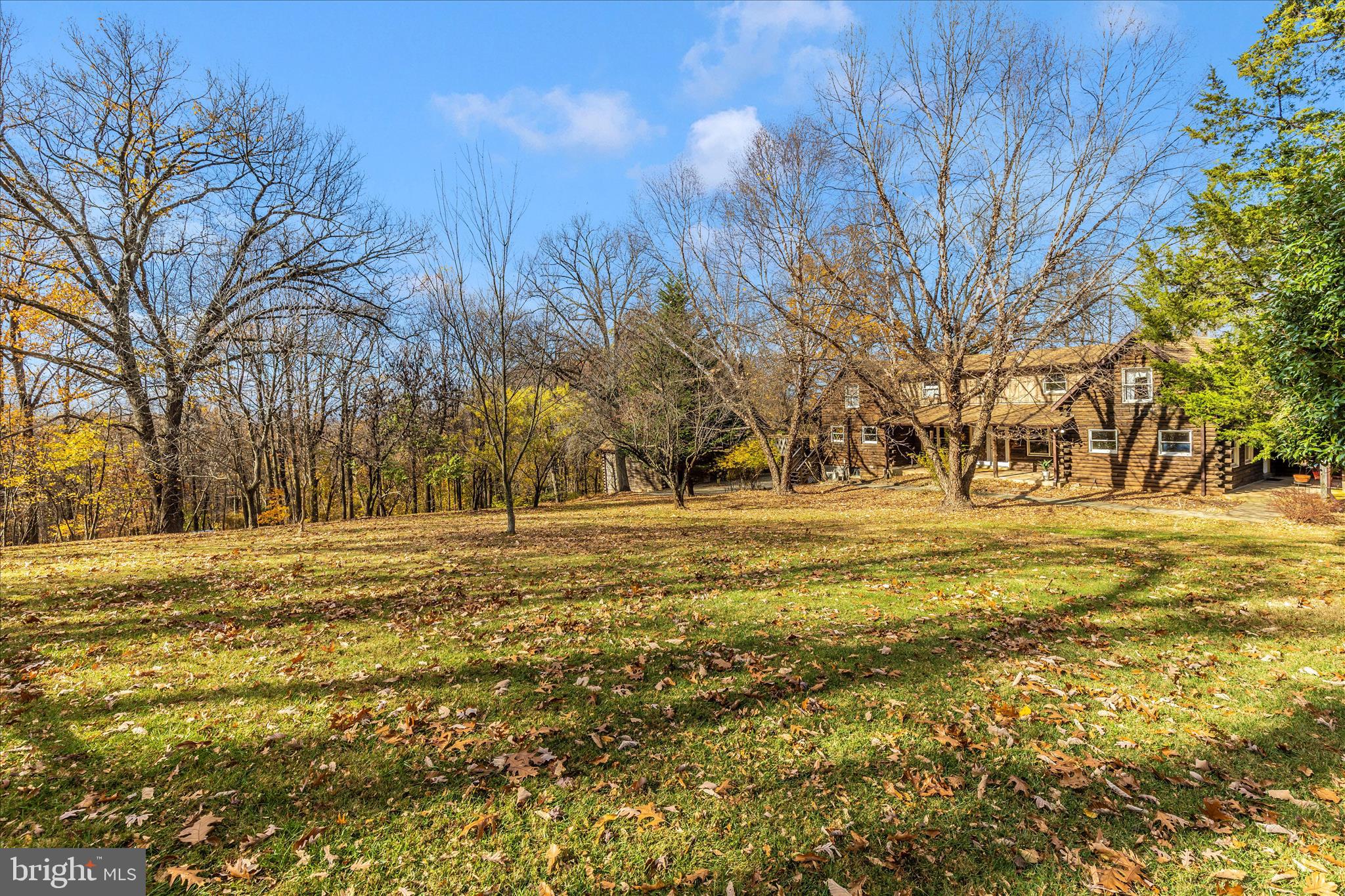 1402 Hoffmaster Road Knoxville, MD 21758 - Photo 48 of 54 a view of road with large trees
