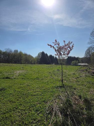 19268 Bradway Road Saegertown, PA 16433 - Photo 23 of 35