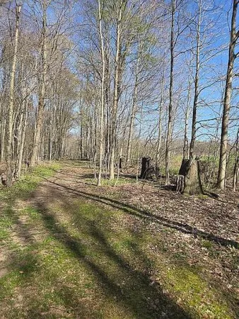 $440,000 | 19268 Bradway Road, Saegertown, PA 16433