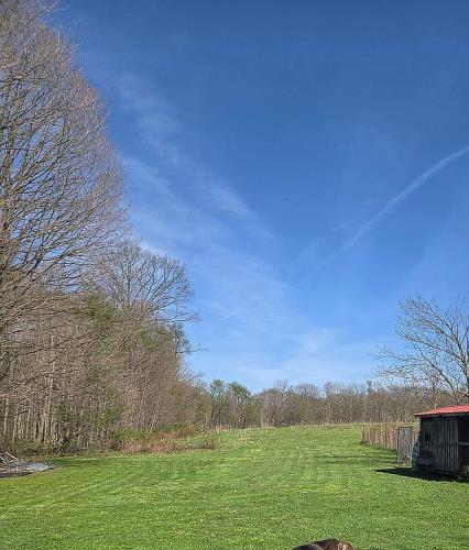 19268 Bradway Road Saegertown, PA 16433 - Photo 26 of 35