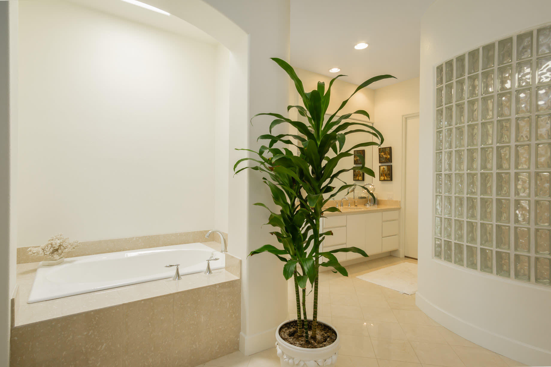 238 Loch Lomond Road Rancho Mirage, CA 92270 - Photo 27 of 44 a bathroom with a potted plant