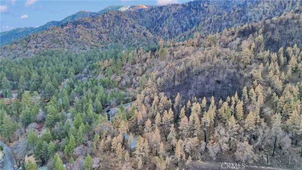 $275,000 | 0 Logwood, Wrightwood, CA 92397