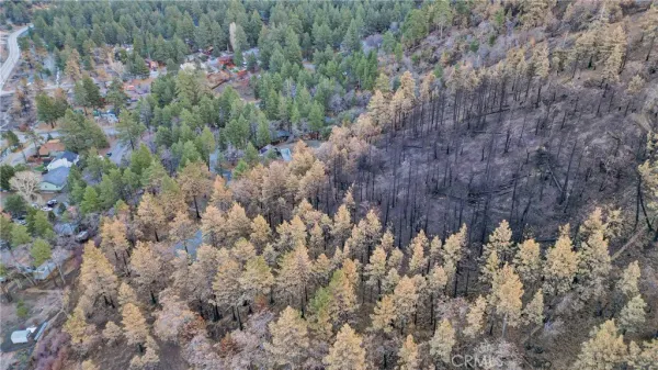 $275,000 | 0 Logwood, Wrightwood, CA 92397