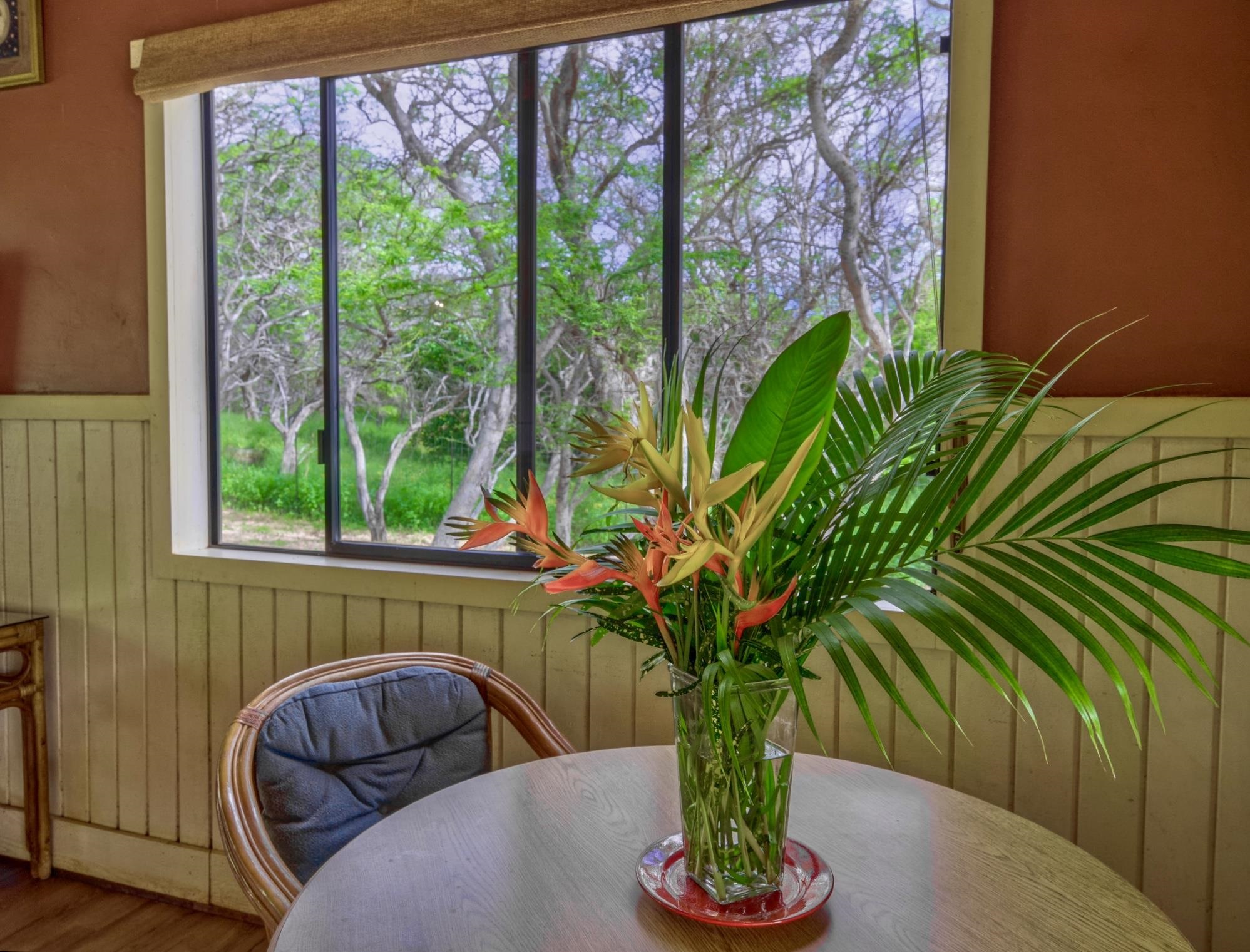 94 Noho Lio Road, Unit 157 Maunaloa, HI 96770 - Photo 11 of 38