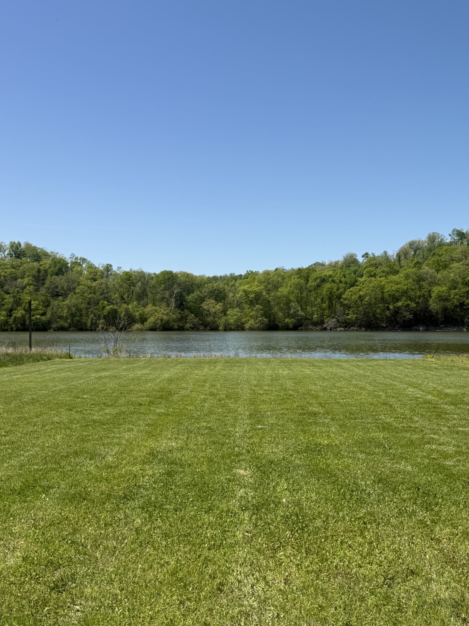 941 Hardin Bottom River Road Clifton, TN 38425 - Photo 19 of 19 a view of a green field