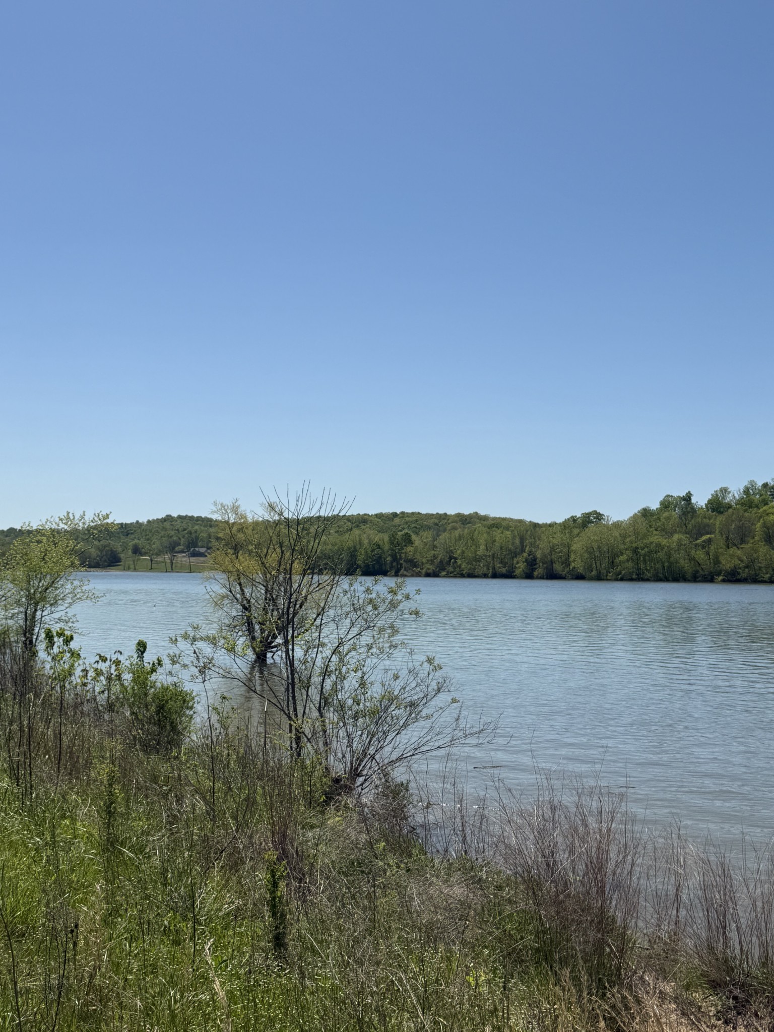 941 Hardin Bottom River Road Clifton, TN 38425 - Photo 3 of 19 a view of a lake and green valley