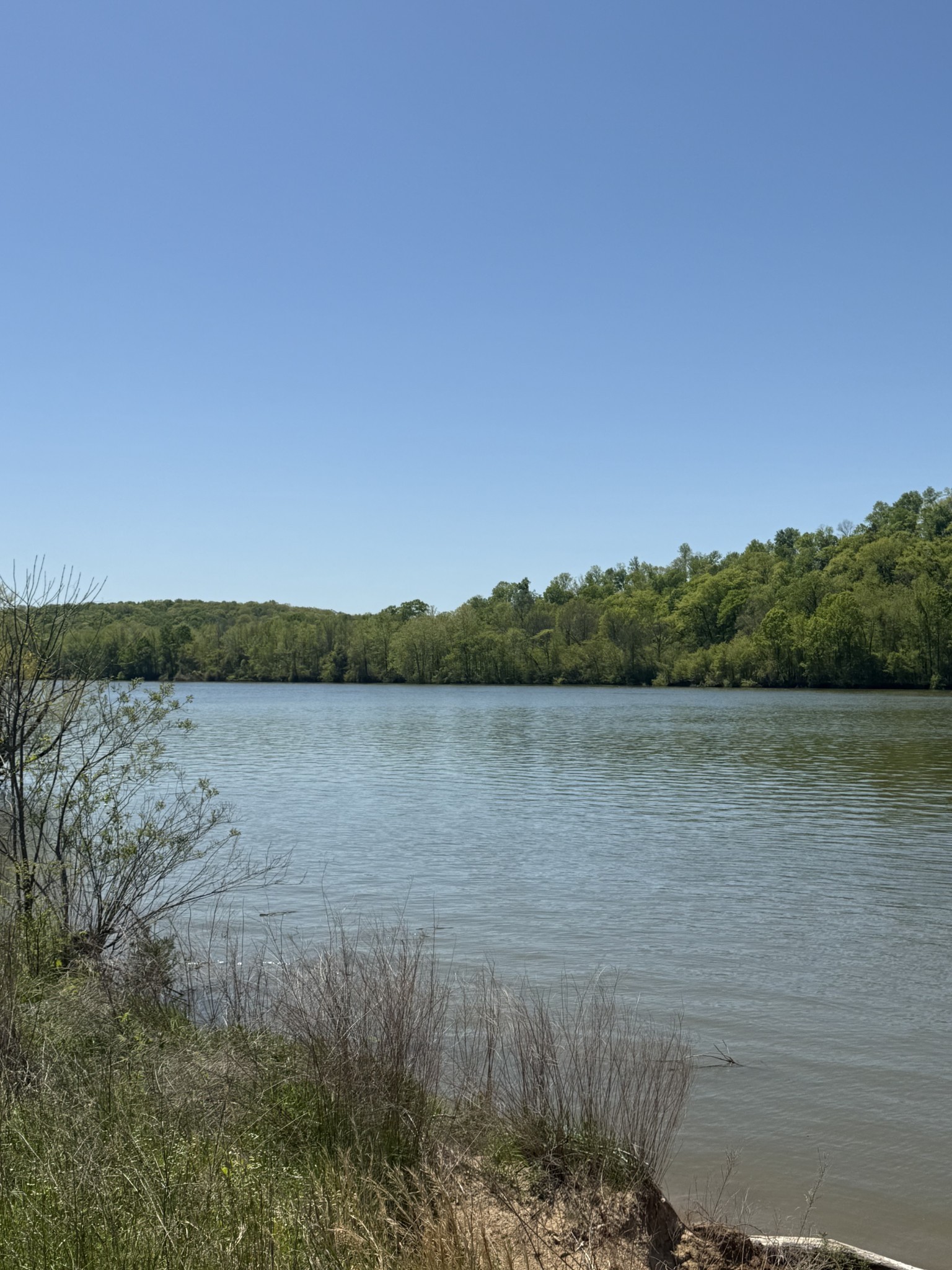 941 Hardin Bottom River Road Clifton, TN 38425 - Photo 4 of 19 a view of lake with mountain in background