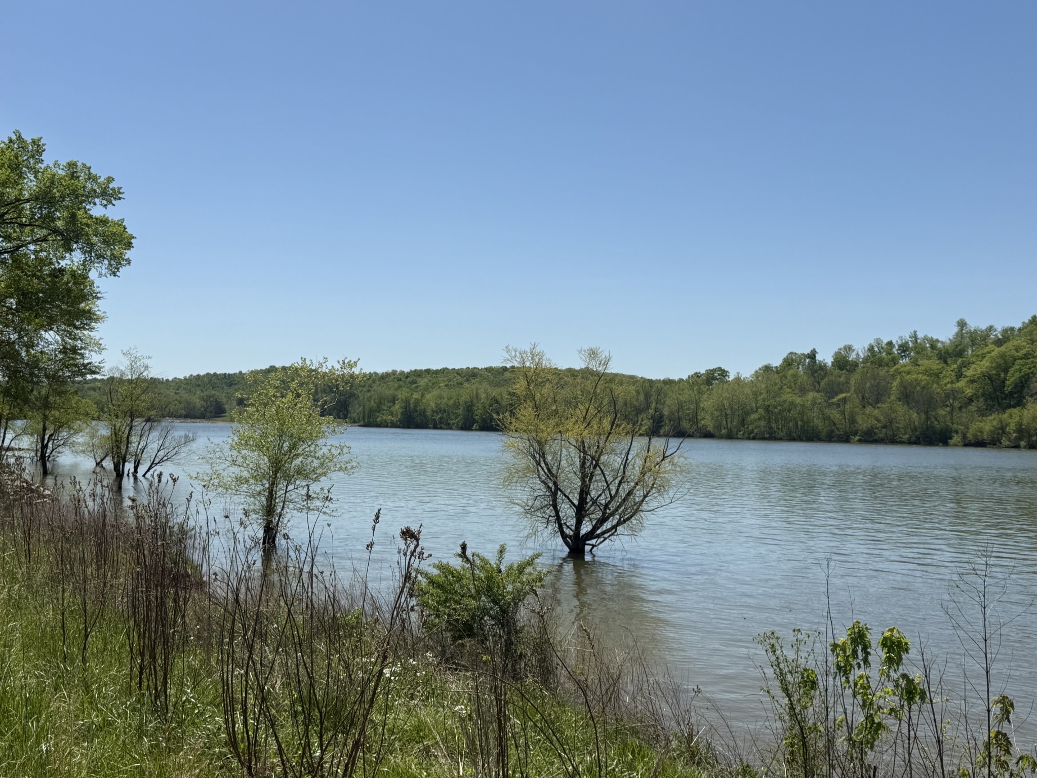 941 Hardin Bottom River Road Clifton, TN 38425 - Photo 5 of 19 a view of a lake view
