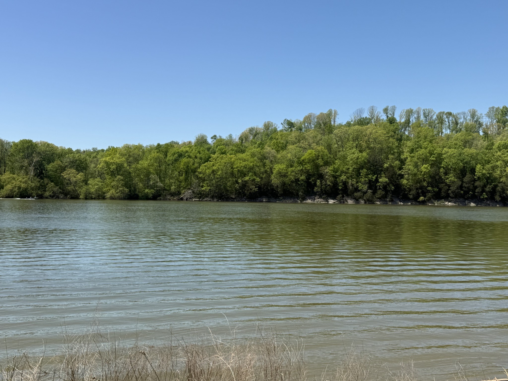 941 Hardin Bottom River Road Clifton, TN 38425 - Photo 8 of 19