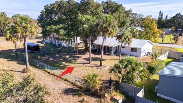 a view of a yard with plants and trees
