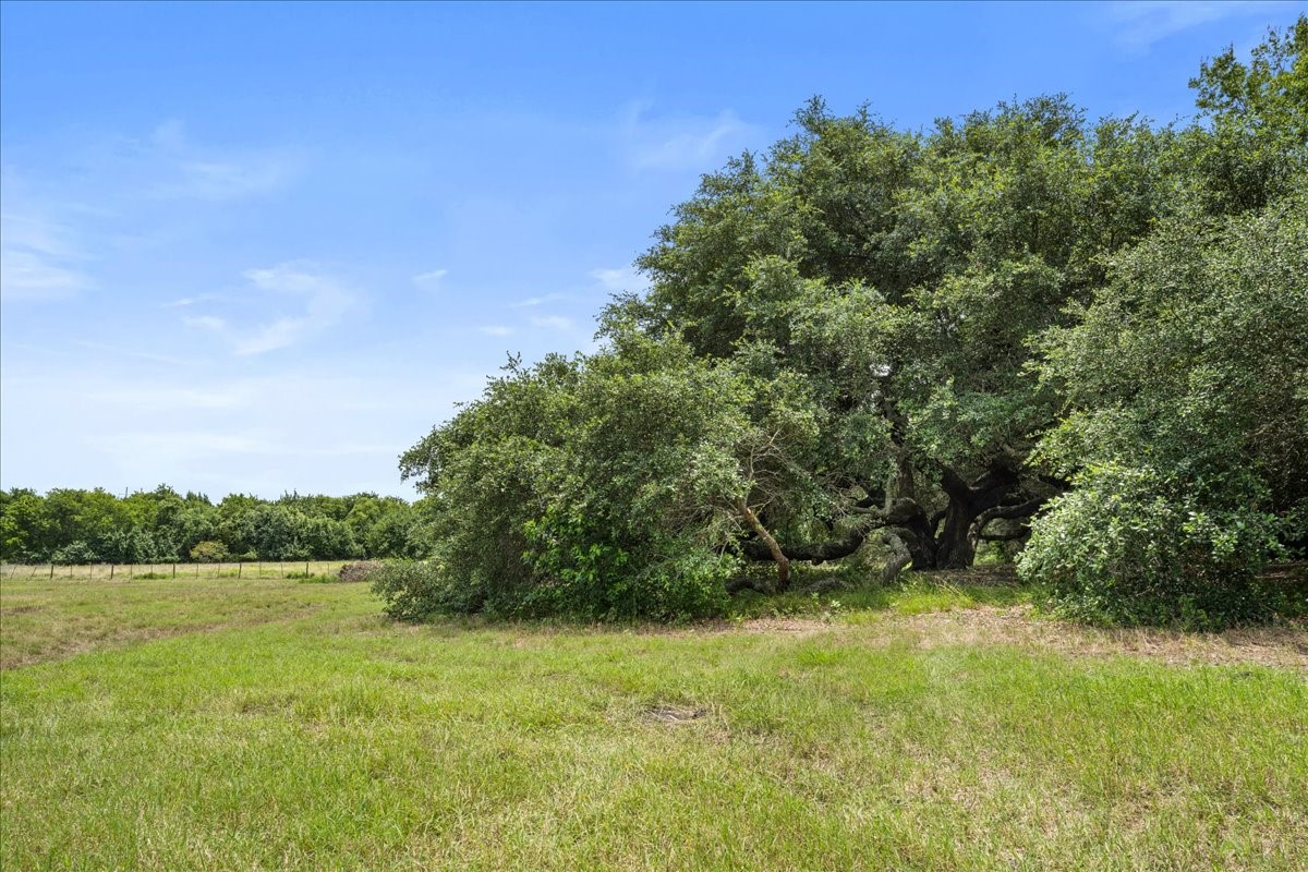 8233 Quebe Road Brenham, TX 77833 - Photo 33 of 35