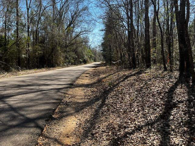 Lot #3 Jessie Stogner Road Sandy Hook, MS 39478 - Photo 1 of 8 Main View