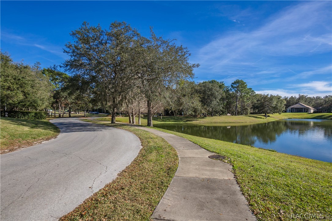 1148 West Diamond Shore Loop Hernando, FL 34442 - Photo 67 of 76