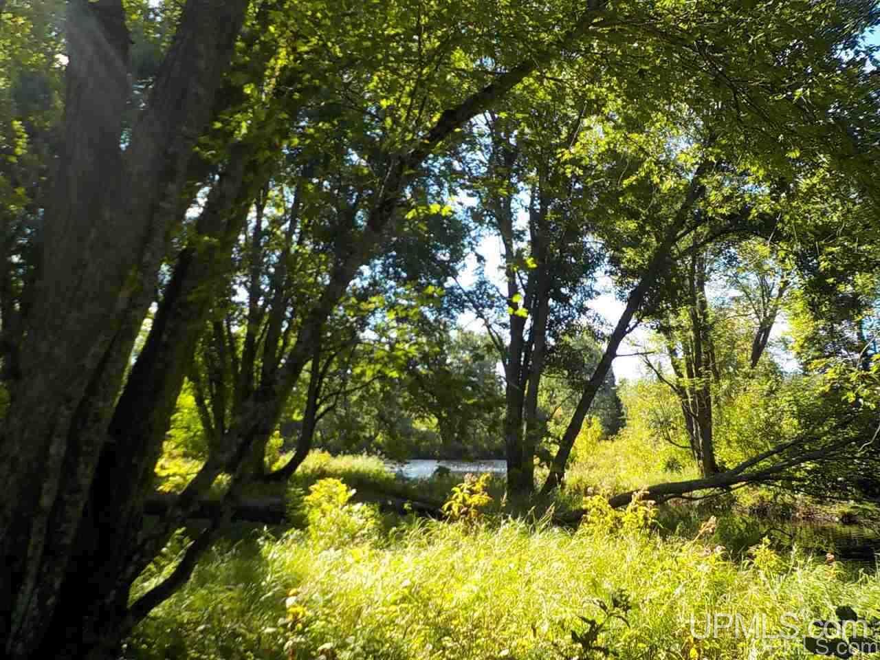 Tbd Parks Farm Road Iron River, MI 49920 - Photo 11 of 31