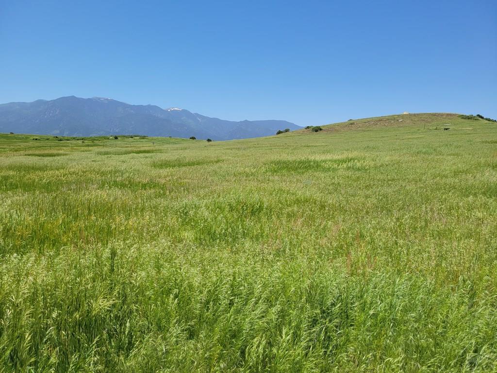 6953 Terlesa Drive Rye, CO 81069 - Photo 4 of 45