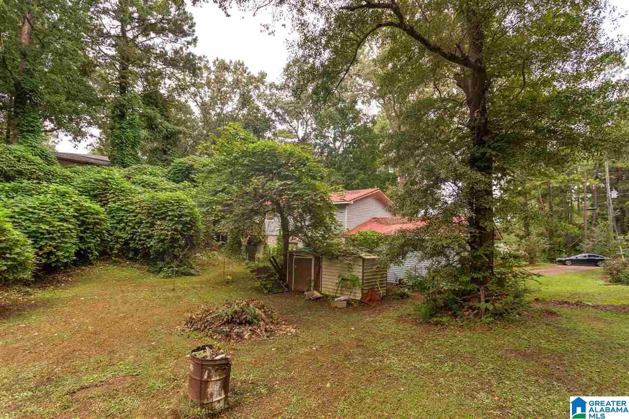 45 Clearwater Point Road Cropwell, AL 35054 - Photo 32 of 39