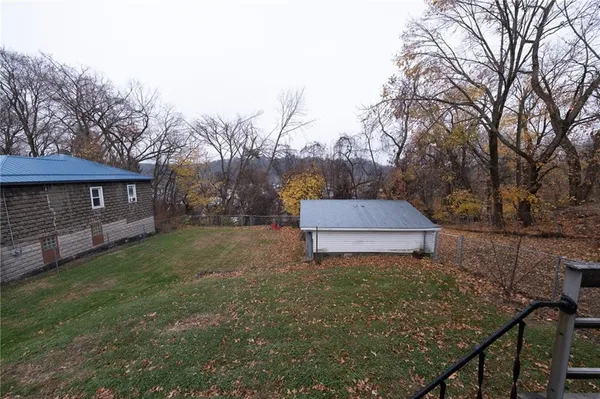 a small garden covered with tall trees