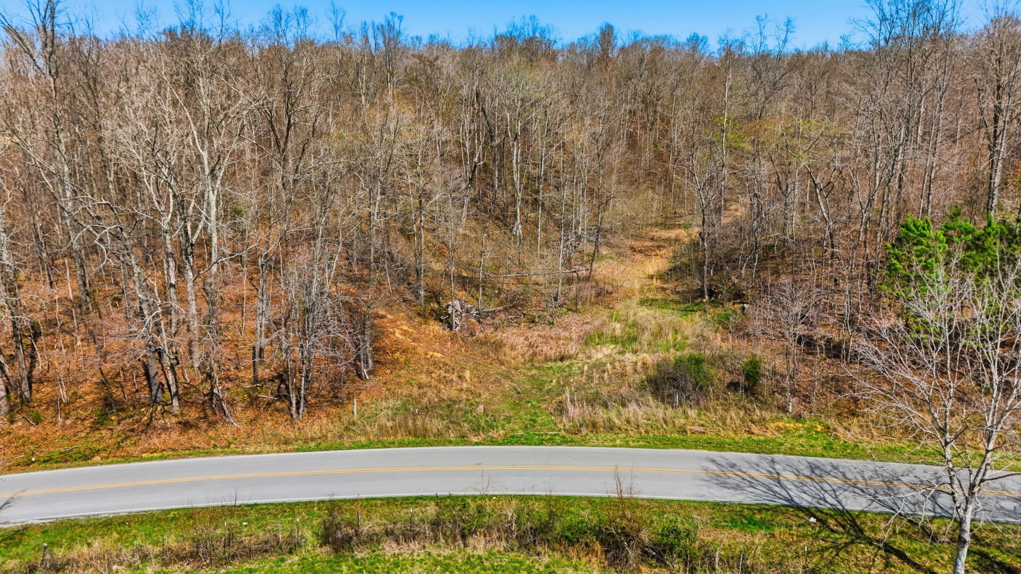 0 Herman Adams Road Cumberland City, TN 37050 - Photo 15 of 57 a view of a yard with an outdoor space