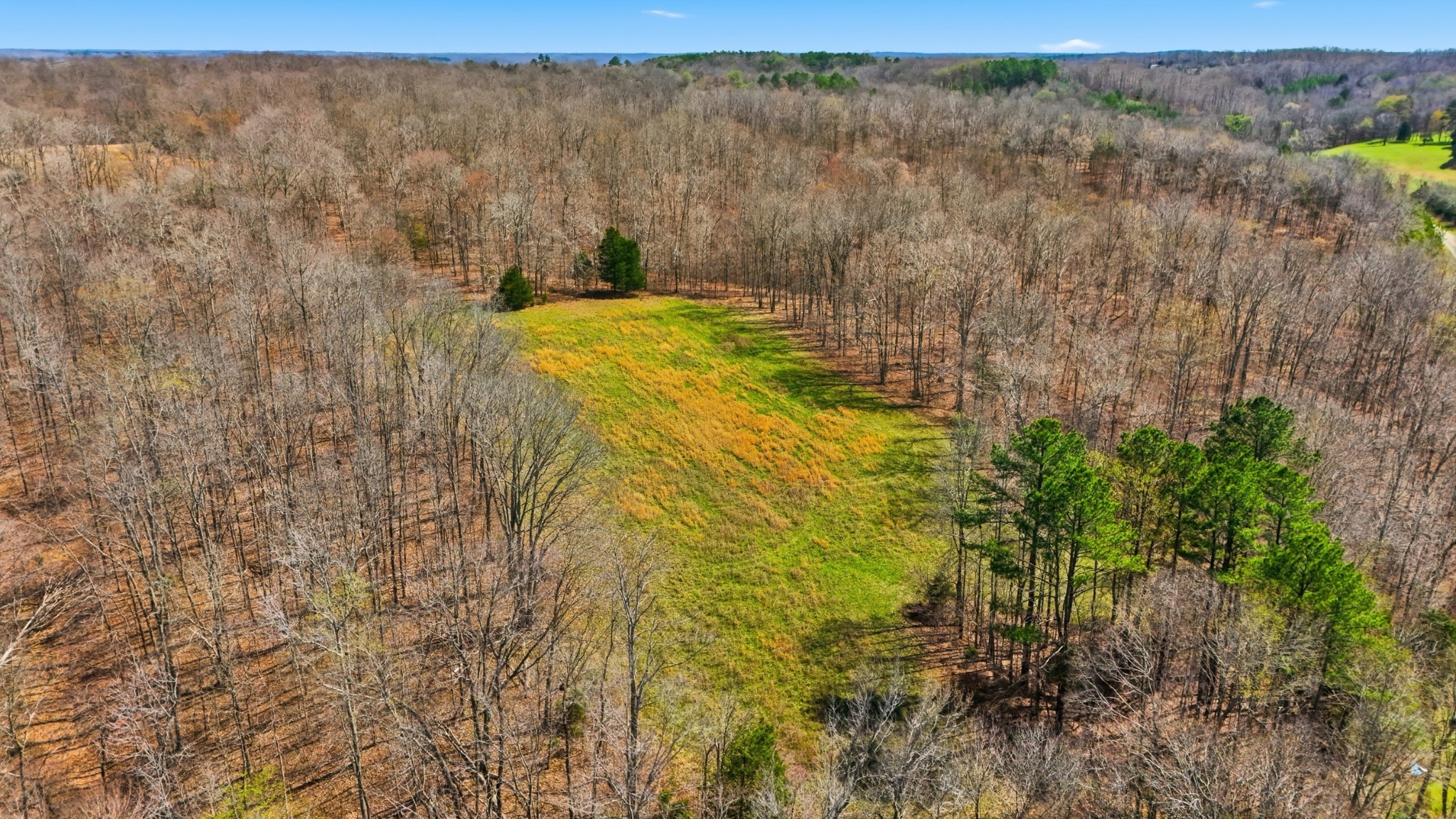 0 Herman Adams Road Cumberland City, TN 37050 - Photo 16 of 57 a view of a yard with plants and wooden fence
