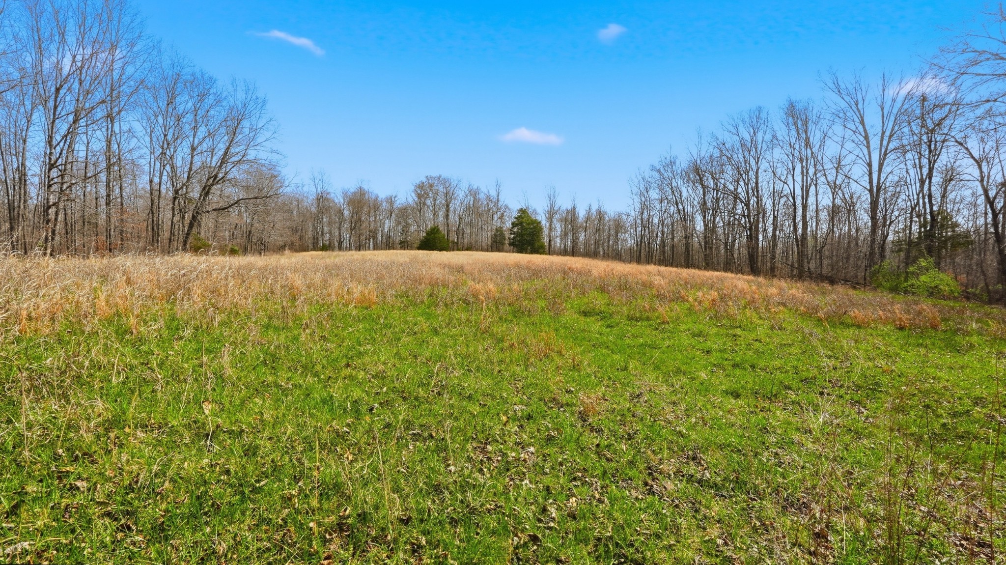 0 Herman Adams Road Cumberland City, TN 37050 - Photo 17 of 57 a view of outdoor space and yard