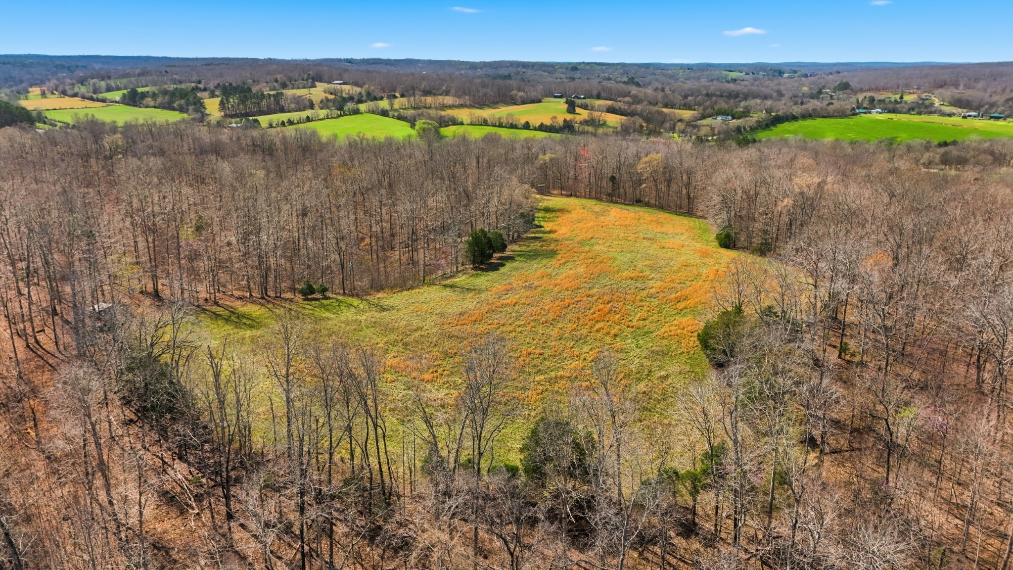 0 Herman Adams Road Cumberland City, TN 37050 - Photo 19 of 57 a view of a lake from a yard