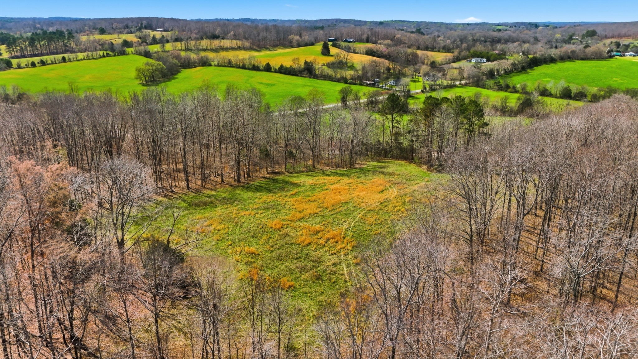 0 Herman Adams Road Cumberland City, TN 37050 - Photo 2 of 57 a view of a yard with an outdoor seating
