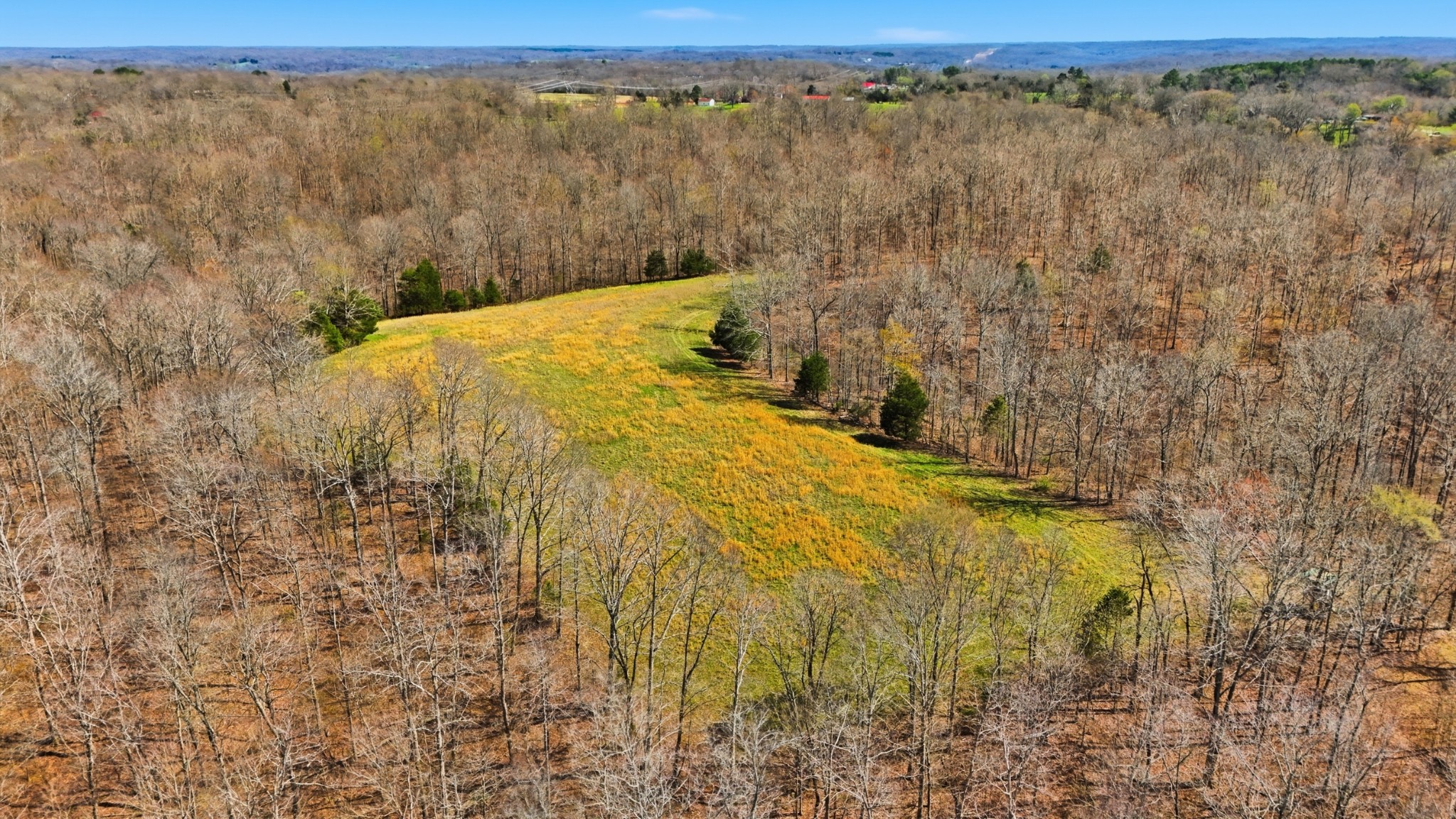 0 Herman Adams Road Cumberland City, TN 37050 - Photo 23 of 57 a view of a yard and mountain view
