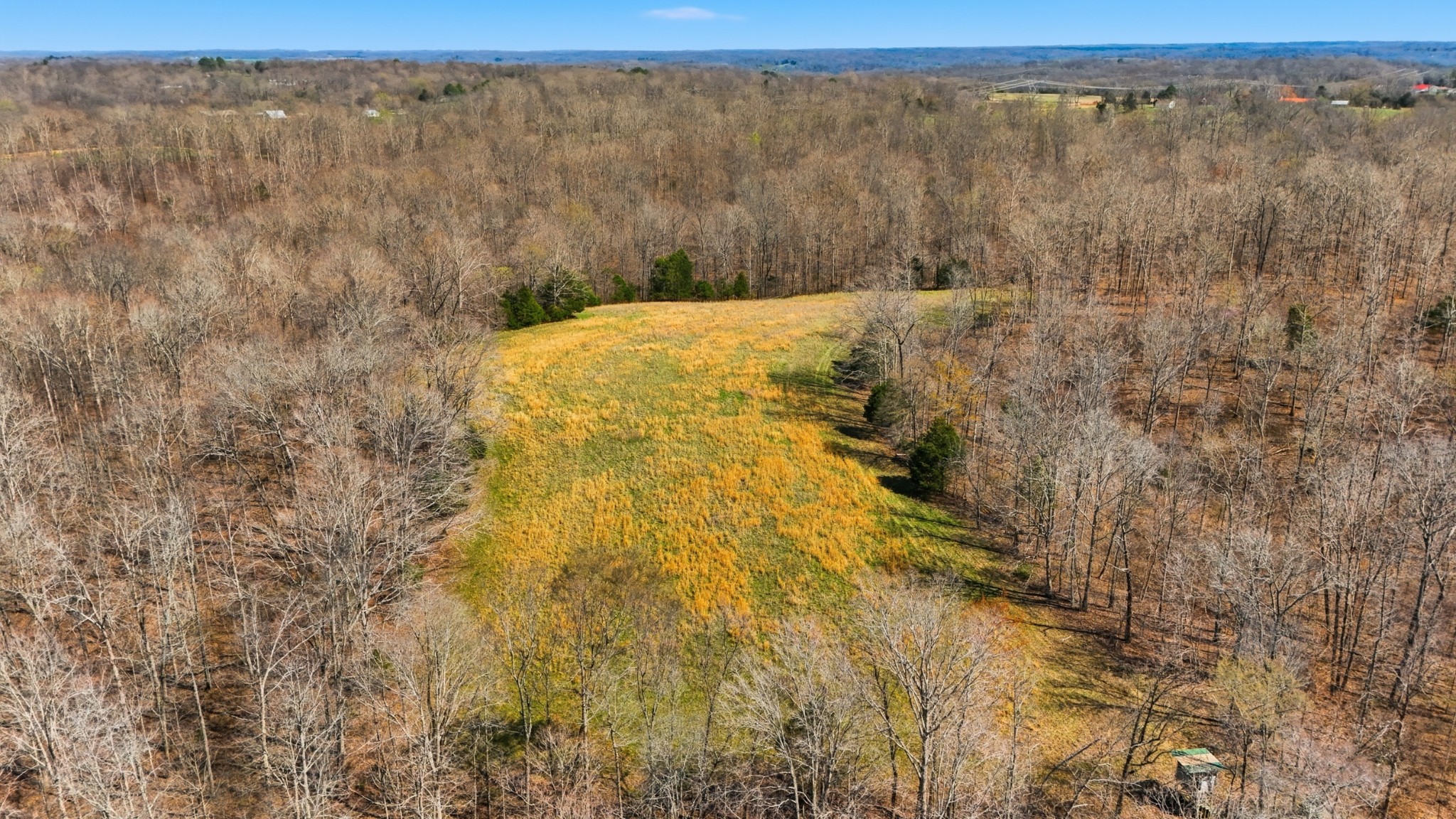 0 Herman Adams Road Cumberland City, TN 37050 - Photo 25 of 57 a view of a dry yard next to a yard