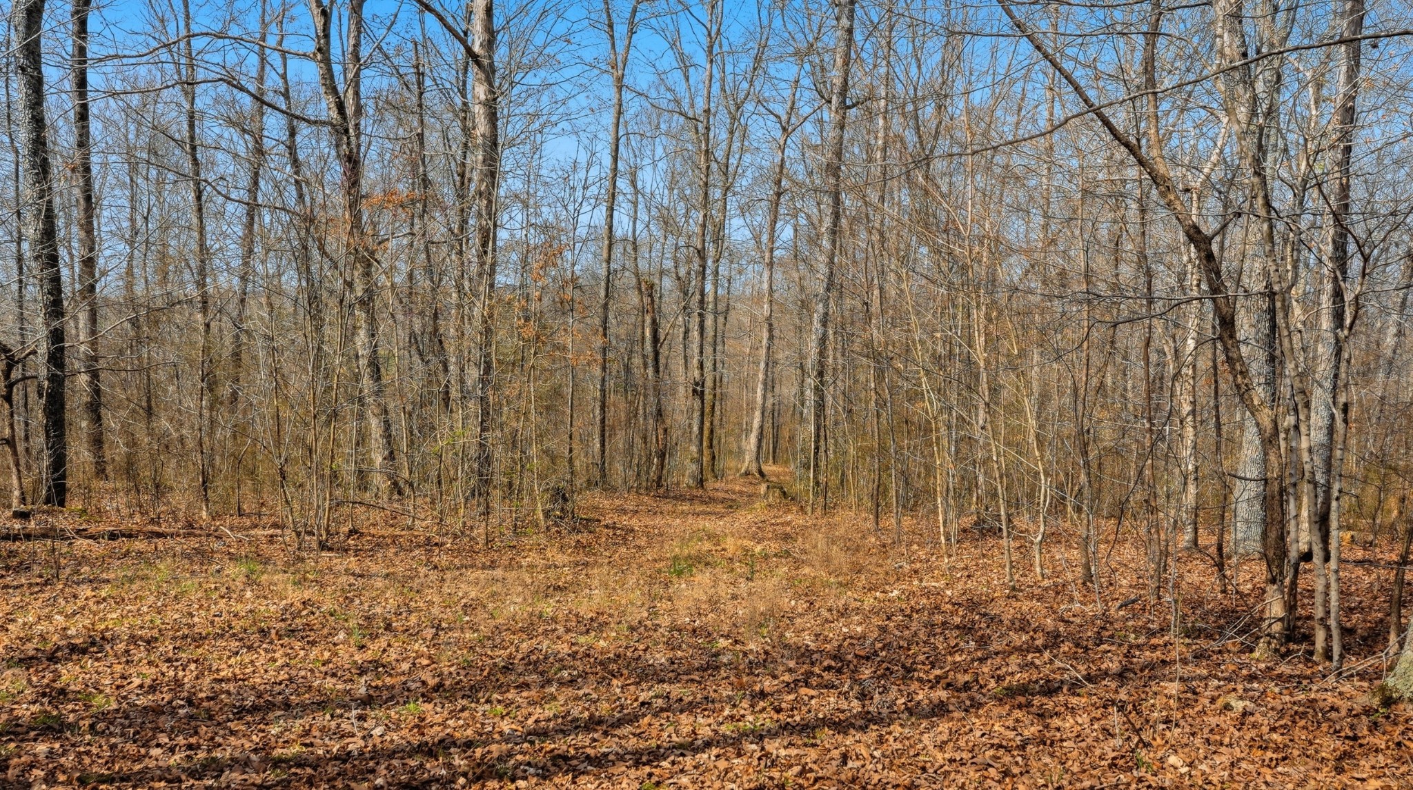 0 Herman Adams Road Cumberland City, TN 37050 - Photo 26 of 57 a view of wooden door