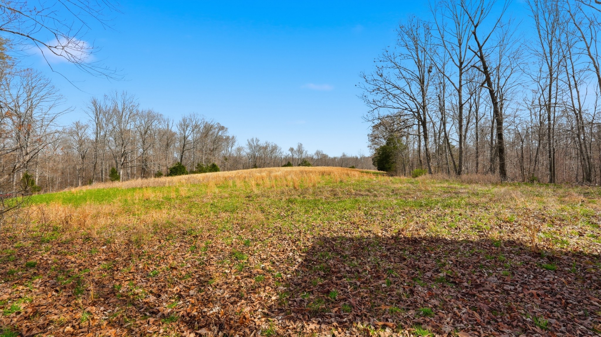 0 Herman Adams Road Cumberland City, TN 37050 - Photo 28 of 57 a view of outdoor space and yard