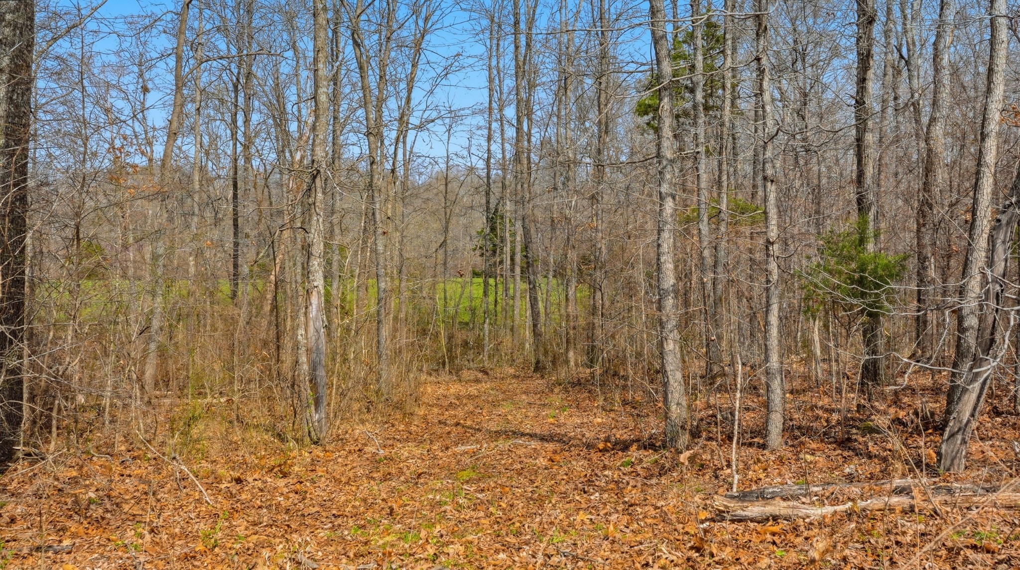 0 Herman Adams Road Cumberland City, TN 37050 - Photo 31 of 57