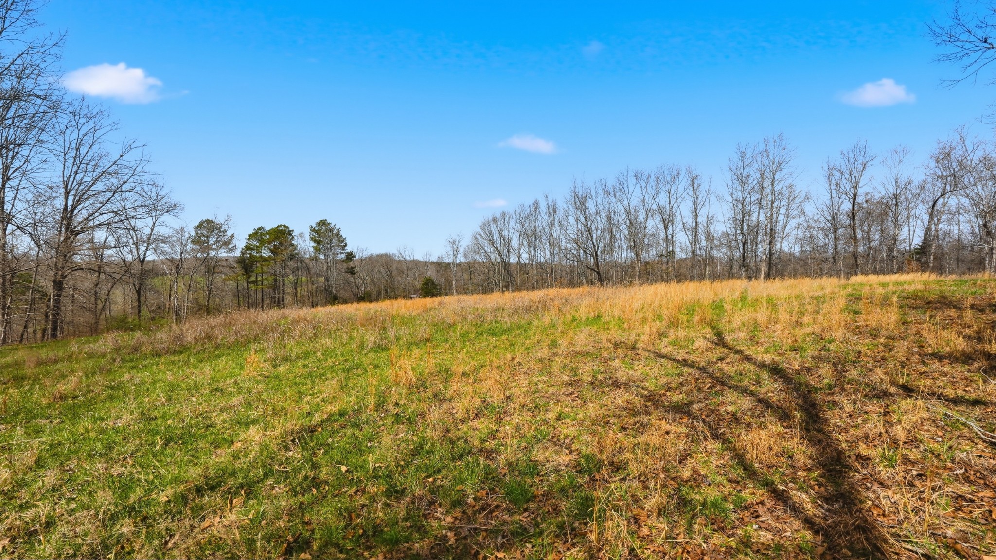 0 Herman Adams Road Cumberland City, TN 37050 - Photo 32 of 57 a view of an outdoor space and a yard