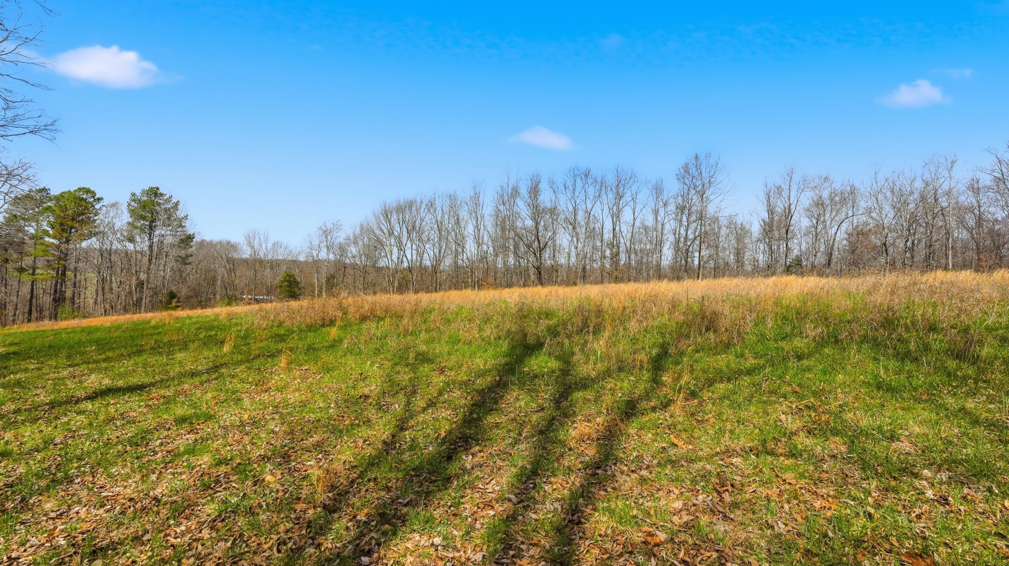 0 Herman Adams Road Cumberland City, TN 37050 - Photo 34 of 57 a view of yard and trees